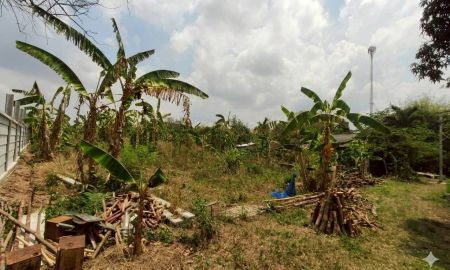 ขายที่ดิน - ขายที่ดินเปล่า 1 ไร่ 73 ตร.ว. อ.พนัสนิคม จ.ชลบุรี ทำเลดี ใกล้ 7-Eleven เพียง 100 ม.