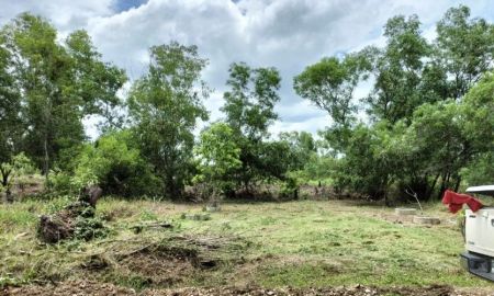 ขายที่ดิน - ขายที่ดินคลองหกตะวันตก 53 ถมแล้ว ที่ดินสวยและถูกมาก ขนาด 100 ตารางวา