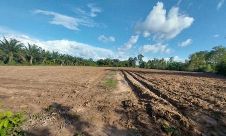 ขายที่ดิน - ขายที่ดิน 5ไร่ อยู่ในชุมชน อยู่ใกล้ตัวเมืองชานุมาน ใกล้แม่น้ำโขง