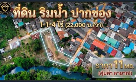 ขายที่ดิน - ขายที่ดินติดริมน้ำใจกลางปากช่อง (1-1-4 ไร่.) วาล่ะ 22,000 บาท | ( ราคาตลาด : ก่อนปรับขึ้นฯ ) ( เพียง 11 ลบ.) ต.ปากช่อง อ.ปากช่อง จ.นครราชสีมา.