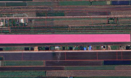 ขายที่ดิน - ขายที่ดินคลองแปด ผังเมืองสีเขียว โอกาสลงทุนเพื่อการเกษตรและพัฒนาโครงการระยะยาว