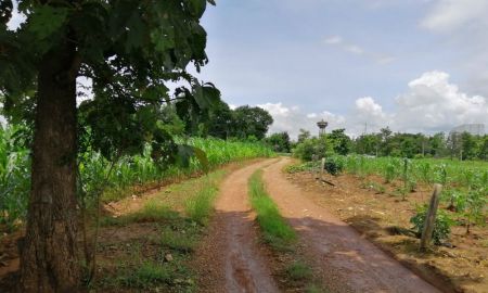 ขายที่ดิน - ขายที่ดินเปล่า 12-3-56 ไร่ สวยๆ หน้าติดถนนคอนกรีต หลังติดลำห้วย ต.แม่กาษา อ.แม่สอด จ.ตาก เหมาะทำรีสอร์ท