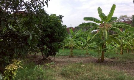 ขายที่ดิน - ขายที่ดิน 204 ตารางวา ถมแล้ว ตำบลเสาธงหิน อำเภอบางใหญ่ จังหวัดนนทบุรี