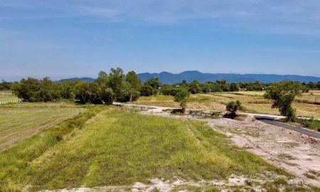 ขายที่ดิน - ที่ดินเผื่อการลงทุน ทำบ้านสวน เก็งกำไร วิวเขา วิวท้องทุ่งนา อากาศโล่งสบาย