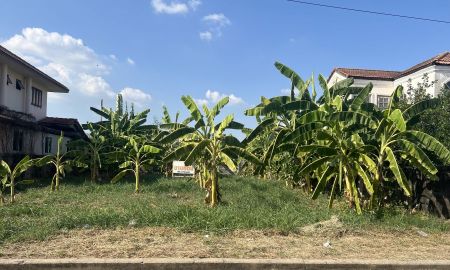 ขายที่ดิน - ขายด่วน ที่ดิน 85 ตร.ว. ในหมู่บ้านกฤษดานคร 29 ซ. คลองหลวง 26 คลองหนึ่ง คลองหลวง ปทุมธานี