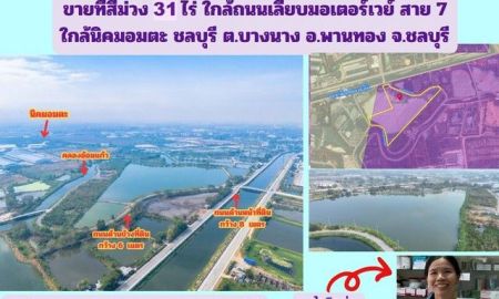 ขายที่ดิน - ขายที่สีม่วง 31 ไร่ ใกล้ถนนเลียบมอเตอร์เวย์ สาย 7 ใกล้นิคมอมตะ ชลบุรี ต.บางนาง อ.พานทอง จ.ชลบุรี