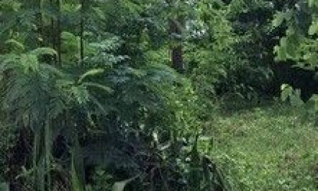 ขายที่ดิน - ขายที่ถมแล้ว 190 ตรว. ขายถูก ใกล้รถไฟฟ้า MRT ซอยเรวดี 13 อ.เมือง จ.นนทบุรี