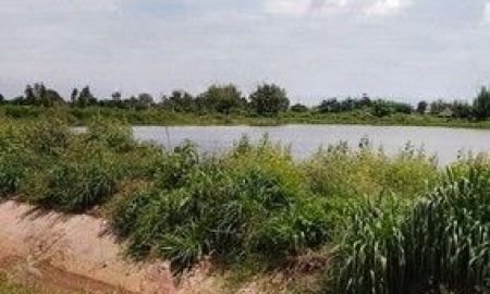 ขายที่ดิน - ขายที่บ่อปลา ติดคลอง 9 ไร่ ติดถนน ต.ท่าข้าม อ.พนัสนิคม จ.ชลบุรี