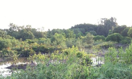 ขายที่ดิน - ขายที่ดินทำเลดีติดวิวเขาบ้านคลองขุด 3 ไร่ ติดถนน5029 ใกล้หาดเจ้าหลาว5กม. อ.ท่าใหม่ จ.จันทบุรี