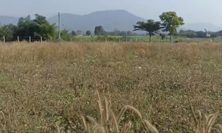 ขายที่ดิน - ที่ดินเขายายเที่ยง วังไทร-ปากช่อง ล้อมรอบวิวเขา อากาศเย็นสบายมีลมตลอดปี