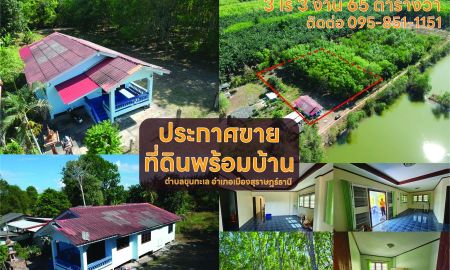ขายที่ดิน - ขายที่ดินพร้อมบ้าน ตำบลขุนทะเล สุราษฎร์ธานี 3 ไร่ 3งาน 65 ตารางวา