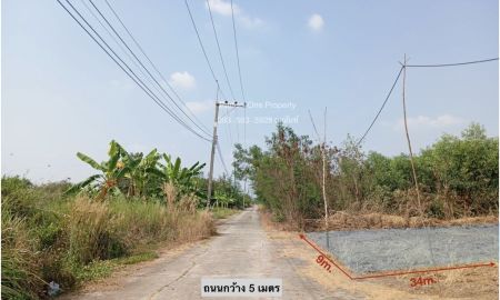 ขายที่ดิน - กำเงินแสนมาซื้อได้เลย ขายที่ดิน เลียบคลอง 11 อ.หนองเสือ จ.ปทุมธานี