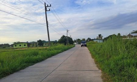 ขายที่ดิน - ขายที่ดินพานทอง ชลบุรี 8ไร่ สีเหลือง ใกล้ อบต.หนองหงษ์ เหมาะทำโรงงาน โกดัง บ้านจัดสรร