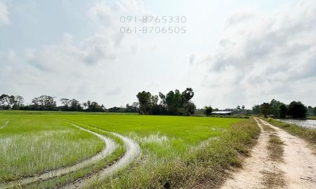 ขายที่ดิน - ขายที่ดิน หนองฉาง อุทัยธานี 51ไร่ มีบ้านอีก 1 หลัง เหมาะปลูกบ้าน ทำนา ทำเกษตร มีน้ำคลอง ขายราคาถูก