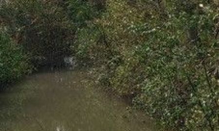 ขายบ้าน - ขายบ้านสองชั้น ติดคลองธรรมชาติ ติดถนนสาธารณะ 200 ตรว.เศษ ต.บ้านโพธิ์ อ.บ้านโพธิ์ จ.ฉะเชิงเทรา