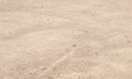 ขายที่ดิน - ขายที่ดิน ใกล้พุทธสถานเจ้าแม่กวนอิมใกล้พรีเมี่ยม outletตำบลเขาใหญ่ชะอำเพชรบุรียก