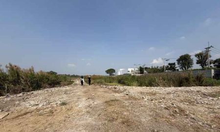 ขายที่ดิน - ขายที่ดินริมน้ำเจ้าพระยา เมืองปทุมธานี 14 ไร่ 1 งาน 80 ตารางวา ติดริมแม่น้ำ วิวสวย ตารางวาละ 80,000 บาท