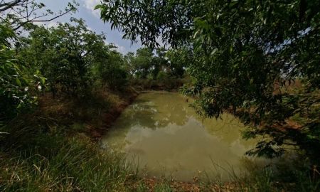 ขายที่ดิน - ขายที่ดิน 5-2-55.4 ไร่ ใกล้แหล่งท่องเที่ยว น้ำตกสาริกา น้ำตกนางรอง ใกล้เขื่อนขุนด่านปราการชล ตำบลเกาะหวาย อำเภอปากพลี จังหวัดนครนายก