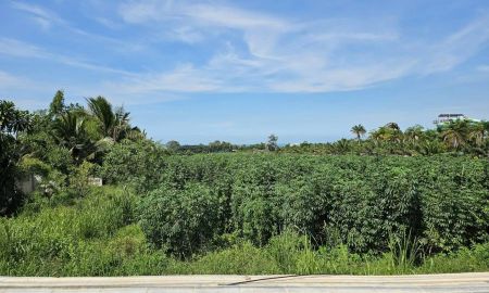 ขายที่ดิน - ขายที่ดินแปลงสวย 19 ไร่ 2 งาน ซอยนาจอมเทียน 50 และ 52 ทำเลดี เดินทางสะดวก ต.นาจอมเทียน อ.สัตหีบ จ.ชลบุรี