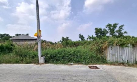 ขายที่ดิน - ขายที่ดินคลองสอง 1 ไร่) (ทำเลดี มีอนาคต จ.ปทุมธานี