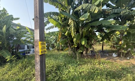 ขายที่ดิน - ขายที่ดินถมแล้ว 209 ตารางวา เจ้าของขายเอง