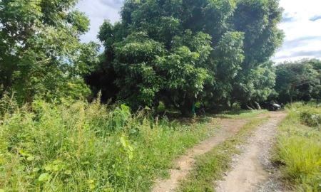 ขายที่ดิน - ด่วน! ขายที่ดินสวย ทำเลดี ใกล้แยกกองทราย สารภี จ.เชียงใหม่ 3 ไร่ 1 งาน 64 ตารางวา