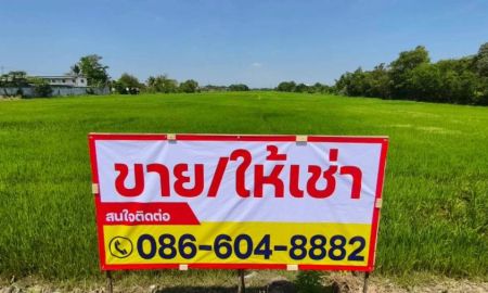 ขายที่ดิน - ขายที่ดินเปล่า ทำเลดี หนองจอก ซอยเชื่อมสัมพันธ์22