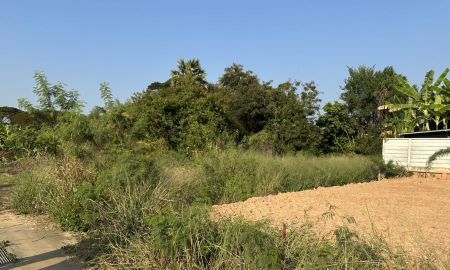 ขายที่ดิน - ขายที่ดินเปล่า 2แปลง รวมกัน 485 ตารางวา ต.วัดจันทร์ อ.เมือง จ.พิษณุโลก