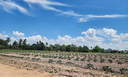 ขายที่ดิน - ขายที่ดิน 7-1-5 ไร่ ถนนภุมริน ซอย13 ต.ตะเคียนเตี้ย อ.บางละมุง จ.ชลบุรี