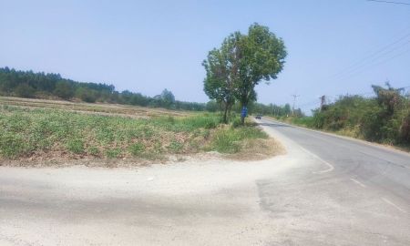 ขายที่ดิน - ขายที่ดินเกาะขนุน 12 ไร่ ติดถนนลาดยาง3017 ใกล้ถนน 331 จ.ฉะเชิงเทรา