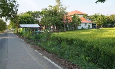 ขายที่ดิน - ขาย ที่ดินเปล่า 4 ไร่ ในซอยวัดลาดปลาดุก นนทบุรี