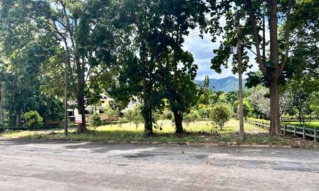 ขายที่ดิน - ขายที่ดินในโครงการ เขาลอย รีสอร์ต พื้นที่ 312 ตรว. พร้อม ต้นสัก ต้นมะม่วง ต.พญาเย็น อ.ปากช่อง ราคา ตรว.16,900 บาท