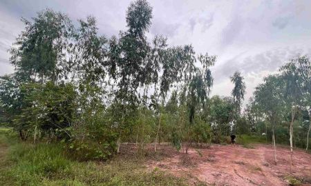 ขายที่ดิน - ขายที่ดินปากพลี 1 ไร่ ติดถนนสุวรรณศร33 ใกล้ตลาดหนองชะอม-5กม. จ.นครนายก