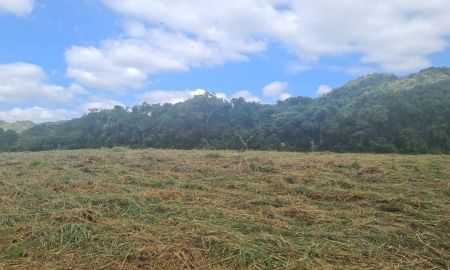 ขายที่ดิน - ขายที่ดินราคาถูก 47-3-38ไร่ ตำบลท่าคล้อ อำเภอแก่งคอย จ.สระบุรี