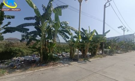 ขายที่ดิน - ขายที่ดิน 213 ตารางวา ซอยบ้านบัวเกราะ 10 ซอยลาดกระบัง 14/1 ราชาเทวะ บางพลี สมุทรปราการ เหมาะสร้างบ้าน โกดัง