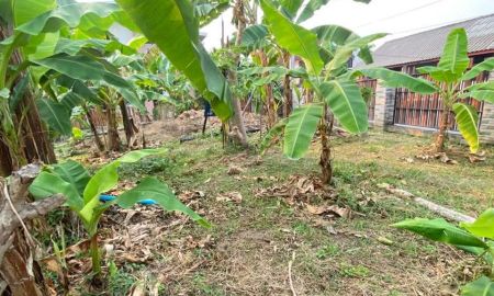 ขายที่ดิน - ขายที่ดินตำบลแม่เหียะติดถนนล้อมรั้วเรียบร้อยพร้อมโอน