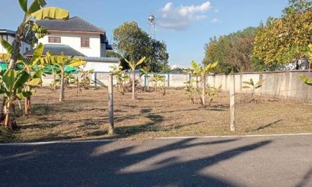 ขายที่ดิน - ขายที่ดินตำบลหนองผึ้งสารภีติดถนนคอนกรีตพร้อมโอน