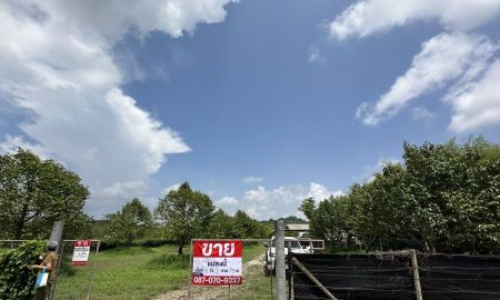 ขายที่ดิน - ขายสวนทุเรียน พร้อมเก็บเกี่ยวผลผลิต จังหวัดจันทบุรี