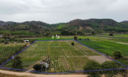 ขายที่ดิน - ที่ดินที่นาที่สวน มีไฟฟ้าหน้าแปลง วิวดอย เวียงป่าเป้าเชียงราย 90 นาที ถึงสนามบินเชียงใหม่