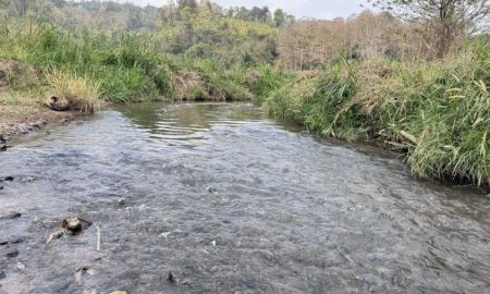 ขายที่ดิน - ที่นาขั้นบันไดติดลำธารบรรยากาศดีท่ามกลางธรรมชาติภูเขา