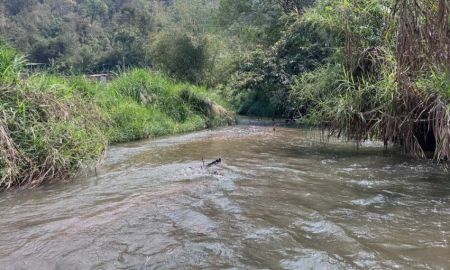 ขายที่ดิน - ขายที่ดินเชียงใหม่ ที่นาขั้นบันได ติดลำธาร วิวภูเขาล้อมรอบ 4 ไร่เศษ ตำบลสะเมิงใต้ สะเมิง เชียงใหม่