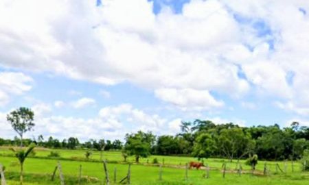 ขายที่ดิน - ที่ดินเปล่า ที่นา บรรยากาศดี อ.นางรอง บุรีรัมย์