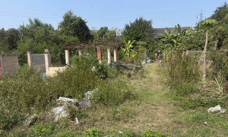 ขายที่ดิน - ขายด่วน ที่ดินสวย ทำเลดี ต.ป่าซาง อ.ป่าซาง จ.ลำพูน