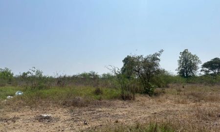 ขายที่ดิน - ขายด่วน ที่ดินแปลงใหญ่ ทำเลดี ใกล้ตัวเมืองลำพูน