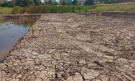 ขายที่ดิน - ขายที่ดินเปล่า 525 ตรว. อยู่ในซอยเทศบาลบางปู 83 ตรงข้ามหมู่บ้านสิวารมย์ 1 และ 2