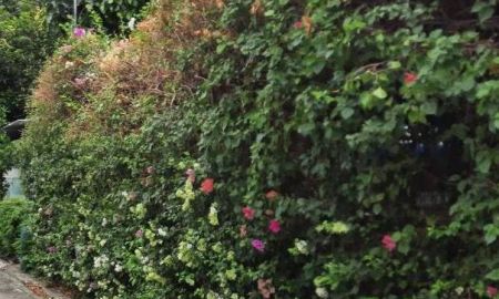 ขายโรงงาน / โกดัง - ขายที่ดินพร้อมอาคารสำนักงาน 4ชั้น 220ตร.ว ซอยสุขุมวิท64 ติดถนนคอนกรีตกว้าง ไฟฟ้า 3เฟส พร้อมใบอนุญาติโรงงาน ใก้ลสถานีBTSปุณณวิถี ทางด่วน