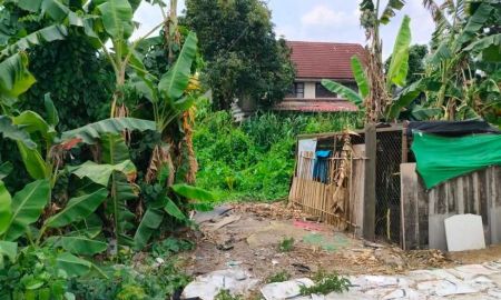 ขายที่ดิน - ที่ดินซอยบางศรีเมือง21 ยังไม่ถม 49 ตรว. (ก.11.6 ม.)