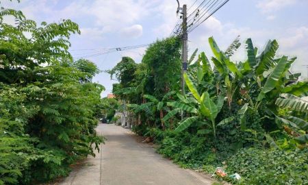 ขายที่ดิน - ที่ดินซอยบางศรีเมือง21 ยังไม่ถม 49 ตรว. (ก.11.6 ม.)