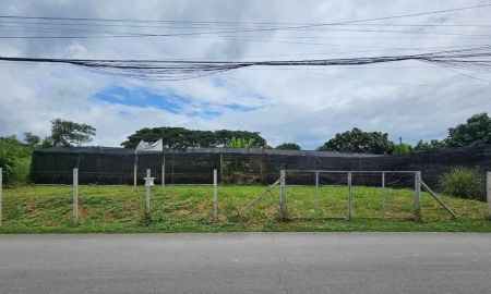 ขายที่ดิน - ขายที่ดินตำบลป่าตันหน้าศาลากลางเชียงใหม่พร้อมโอน