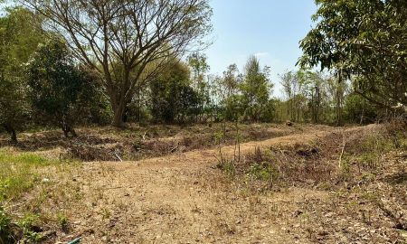 ขายที่ดิน - บ้านสวน 3ไร่ ภาชี อยุธยา เหมาะกับทำคาเฟ่ โฮมสเตย์ บ้านพักบ้านสวน